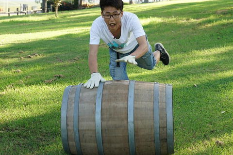Hunter Valley Wine Barrel Rolling - Accommodation Bookings 2