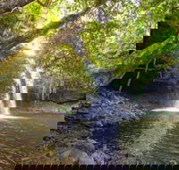 Half-Day Best Of Byron Sightseeing Tour - Accommodation Bookings