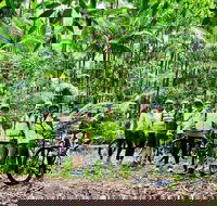 Guided E Bike Tour - Hells Hole Pools  Rainforest - Accommodation Bookings