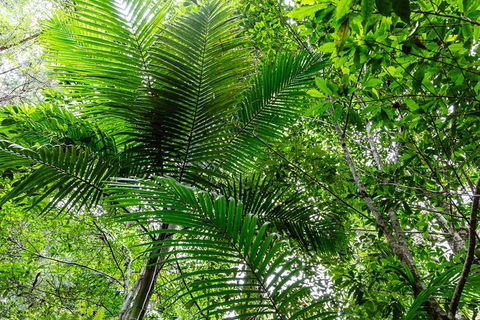 Guided E Bike Tour - Hells Hole Pools & Rainforest - Accommodation Bookings 5