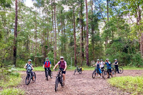 Guided E Bike Tour - Hells Hole Pools & Rainforest - Accommodation Bookings 2