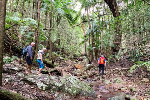 Guided E Bike Tour - Hells Hole Pools & Rainforest - Accommodation Bookings 11