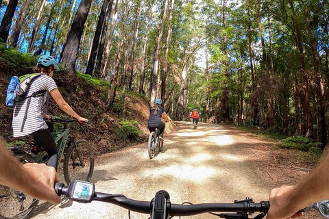 Guided E Bike Tour - Hells Hole Pools & Rainforest - Accommodation Bookings 3