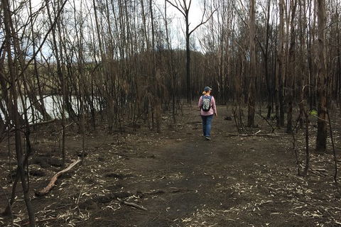 Fishermans Paradise Eco-walk - Accommodation Bookings 5