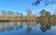 Fishermans Paradise Eco-walk - thumb 4
