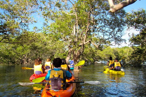 2-Hour Rental Kayak Double In Brunswick River - Accommodation Bookings 2