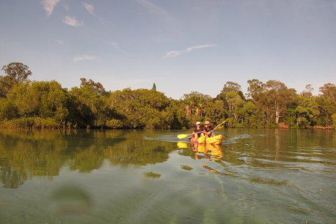 2-Hour Rental Kayak Double In Brunswick River - Accommodation Bookings 5