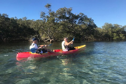 2-Hour Rental Kayak Double In Brunswick River - Accommodation Bookings 4
