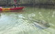 2-Hour Rental Kayak Double In Brunswick River - thumb 6