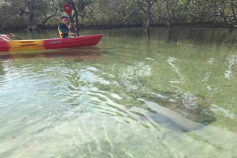 2-Hour Rental Kayak Double In Brunswick River - Accommodation Bookings 6