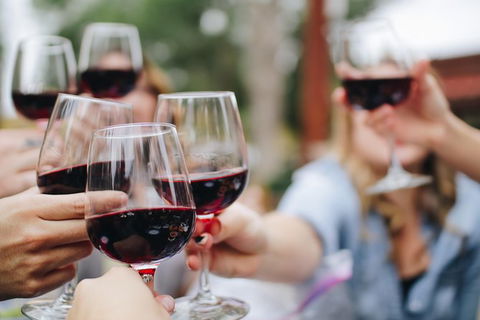Six Hour - Plan Your Own Wine And Cheese Tour Hunter Valley - Accommodation Bookings 8