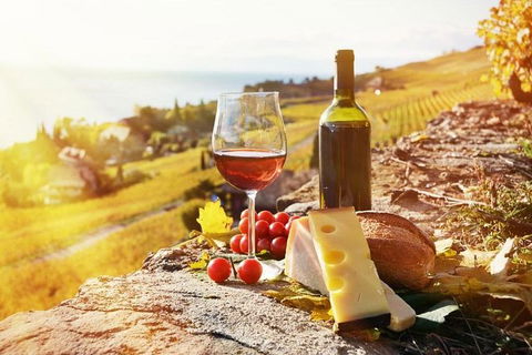 Six Hour - Plan Your Own Wine And Cheese Tour Hunter Valley - Accommodation Bookings 0
