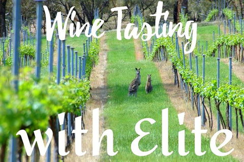 Six Hour - Plan Your Own Wine And Cheese Tour Hunter Valley - Accommodation Bookings 7