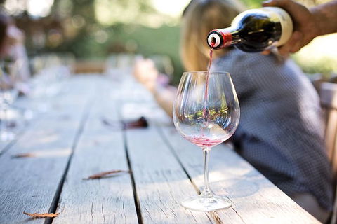 Six Hour - Plan Your Own Wine And Cheese Tour Hunter Valley - Accommodation Bookings 5