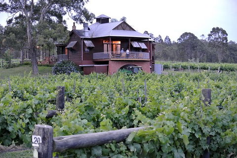 Six Hour - Plan Your Own Wine And Cheese Tour Hunter Valley - Accommodation Bookings 11
