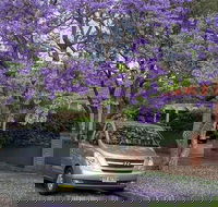 Central Coast to Sydney/ Sydney Airport Transfers - Accommodation Bookings