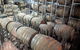 The Complete Hunter Valley Wine Tour Of Pokolbin, Mt View, Lovedale And Rothbury - thumb 8