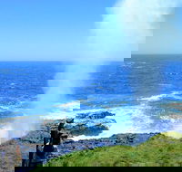 Erupting Blowholes and Ancient Rainforests with 'Personalised Sydney Tours' - Accommodation Bookings