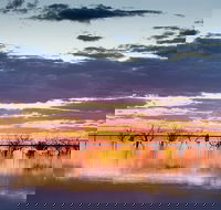 Menindee Lakes and Darling River - Accommodation Bookings