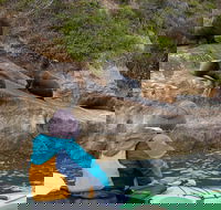 Sydney Kayak Seal Encounter Adventure with Gourmet Food - Accommodation Bookings