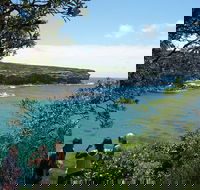 Private Luxury Sydney's Royal National Park Full Day Tour - Accommodation Bookings
