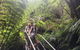 Blue Mountains Full Day Nature Tour For Four - thumb 2
