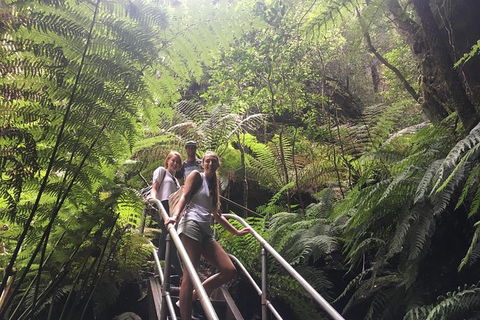 Blue Mountains Full Day Nature Tour For Four - Accommodation Bookings 2
