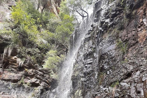 Blue Mountains Full Day Nature Tour For Four - Accommodation Bookings 1