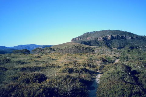 Blue Mountains Full Day Nature Tour For Four - Accommodation Bookings 3