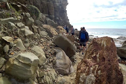Royal National Park Adventure & Hike, Figure 8 Pools - Accommodation Bookings 0