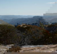 The Explorers' Discovery Tour - Gold Wine  Wildlife - Accommodation Bookings