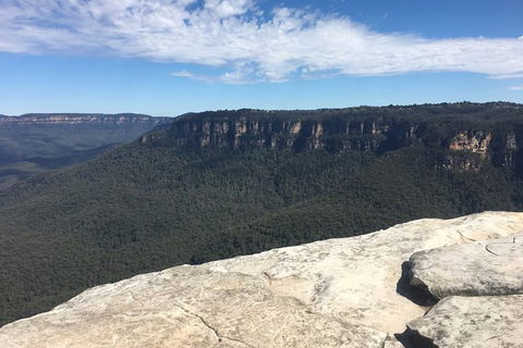 The Explorers\' Discovery Small Group Tour - Gold, Wine & Wildlife - Accommodation Bookings 3