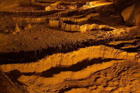The Explorers\' Discovery Small Group Tour - Gold, Wine & Wildlife - Accommodation Bookings 13