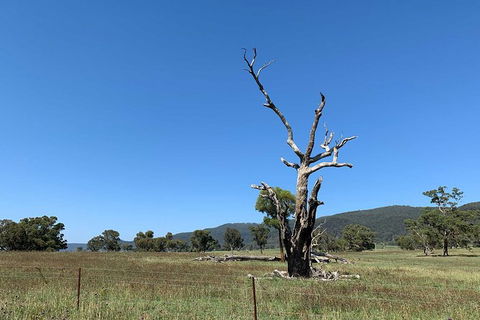 The Explorers\' Discovery Small Group Tour - Gold, Wine & Wildlife - Accommodation Bookings 6