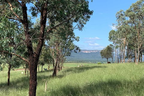 The Explorers\' Discovery Small Group Tour - Gold, Wine & Wildlife - Accommodation Bookings 2