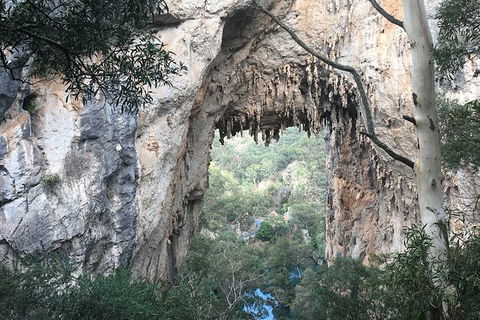 The Explorers\' Discovery Small Group Tour - Gold, Wine & Wildlife - Accommodation Bookings 8