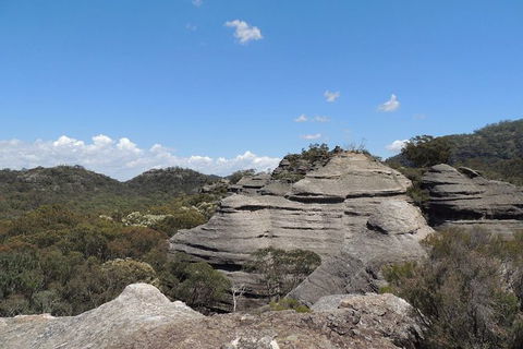 The Explorers\' Discovery Small Group Tour - Gold, Wine & Wildlife - Accommodation Bookings 16