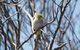 From The Mountains To The Bay - 4 Day Rediscovery Private Tour - thumb 11