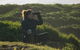 From The Mountains To The Bay - 4 Day Rediscovery Private Tour - thumb 15