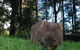 From The Mountains To The Bay - 4 Day Rediscovery Private Tour - thumb 22