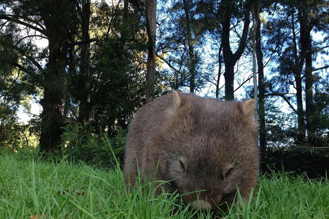 From The Mountains To The Bay - 4 Day Rediscovery Private Tour - Accommodation Bookings 22