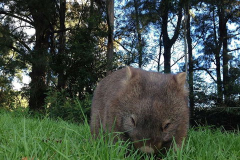 From The Mountains To The Bay - 4 Day Rediscovery Private Tour - Accommodation Bookings 7