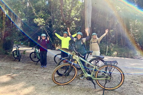 Guided E Bike Tour - Unicorn Falls & National Park - Accommodation Bookings 3