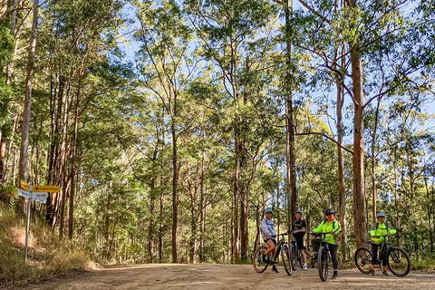 Guided E Bike Tour - Unicorn Falls & National Park - Accommodation Bookings 10