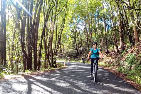 Guided E Bike Tour - Unicorn Falls & National Park - Accommodation Bookings 16