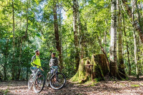 Guided E Bike Tour - Unicorn Falls & National Park - Accommodation Bookings 14