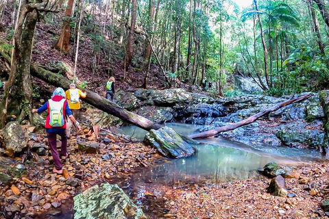 Guided E Bike Tour - Unicorn Falls & National Park - Accommodation Bookings 17