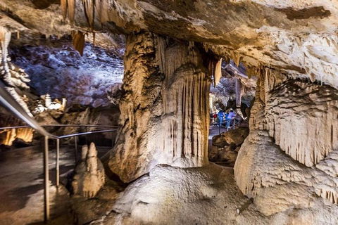 Discover The World Heritage Treasures Of The Blue Mountains Tour - Accommodation Bookings 2