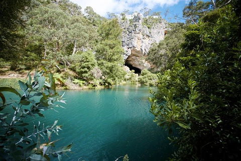 Discover The World Heritage Treasures Of The Blue Mountains Tour - Accommodation Bookings 5