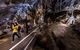 Discover The World Heritage Treasures Of The Blue Mountains Tour - thumb 1